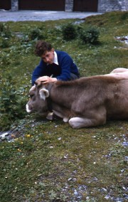 a-162-John-DeanWelsh-BoyCow