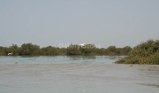 a-131