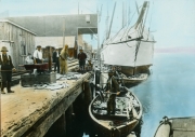 a-164-Unloading-fish-at-LiverpoolNovaScotia.