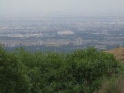 a-136