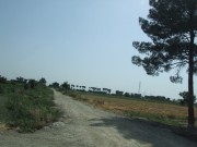 a-328