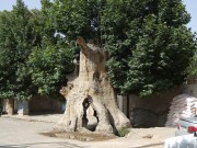 a-363