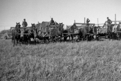 a-185