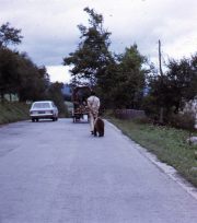 a-119-Gypsy-caravan-on-way-to-Plitvice-Lakes